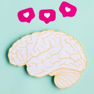 Mind Support Course